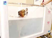 マイクロバブル