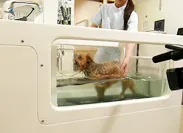 トレッドミドル