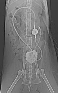 SUBシステム設置