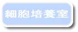 細胞培養室