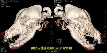 CT検査室